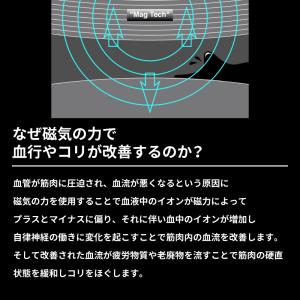 バンデル 公式 BANDEL 磁気ネックレス ...の詳細画像2
