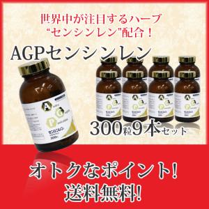 センシンレン　100カプセル☓3セット 3DaysライフカプセルDXⅣ（7年保存） | 企業・学校・自治体向け防災