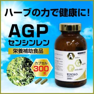 プレゼント サプライズ AGPセンシンレン カプセル 300粒 - その他
