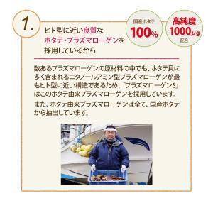 【公式】プラズマローゲンS 粉末カプセル 60...の詳細画像4