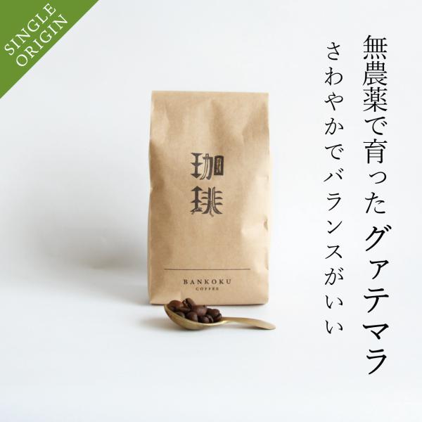 コーヒー豆 200g オーガニックコーヒー豆 無農薬珈琲 グァテマラ お試し レギュラーコーヒー 珈...