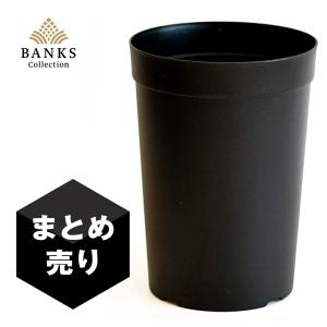 LPL ロングポット大 単品 BC バンクスコレクション プラ鉢 : BANKS