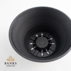 SP 浅鉢 単品 BC プラ鉢 バンクスコレクションの詳細画像2