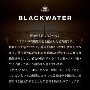 BW50 ブラックウォーター50ml BLAC...の詳細画像4