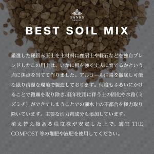 BSM3-6 ベストソイルミックス3L6袋 B...の詳細画像3