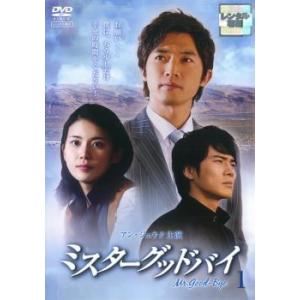 セレブの誕生 10(第19話、最終 第20話) レンタル落ち 中古 DVD 韓国