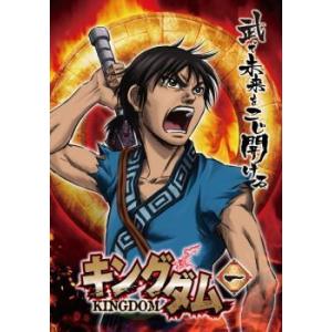 キングダム 第1シリーズ DVD 全巻セット テレビアニメ 全38話 990分