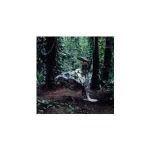ドンキー 初回生産限定盤 レンタル落ち 中古 CD