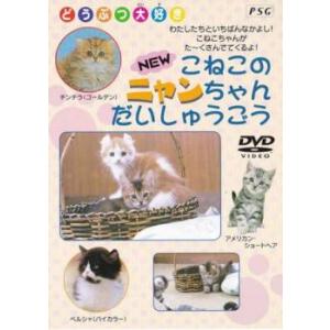 NEW こねこのニャンちゃん大集合 中古 DVD