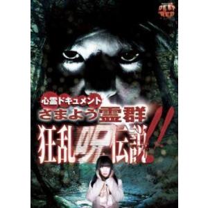 心霊ドキュメント さまよう霊群 狂乱呪伝説 レンタル落ち 中古 DVD  ホラー