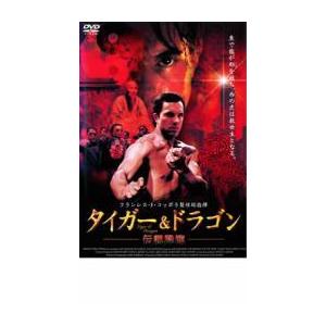 タイガー＆ドラゴン 伝説降臨 レンタル落ち 中古 DVD