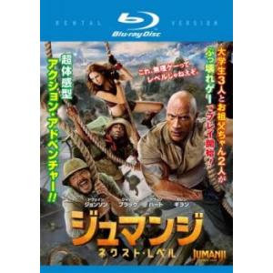 ジュマンジ ネクスト・レベル ブルーレイディスク レンタル落ち 中古 ブルーレイ