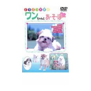 ワンちゃんとあそぼー 中古 DVD