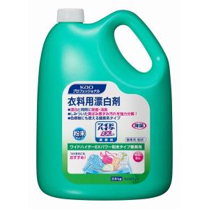 ケース販売 4本入 ワイドハイターEXパワー ...の詳細画像1