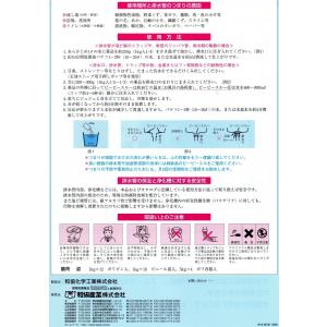 ピーピースルーK 和協産業 冷水用 業務用配管...の詳細画像2