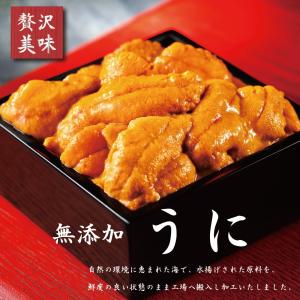 うに ウニ 極上うに 100ｇ (買い合わせでお得) (約1〜２人前) ブランチ A ミョウバン未使用  海鮮丼 ウニ 雲丹 うに冷凍 お中元 海鮮 ギフト
