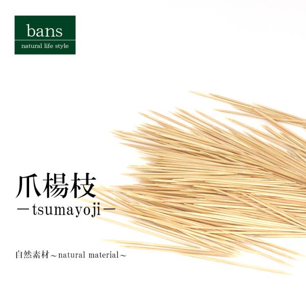 爪楊枝 つまようじ 竹楊枝 両細 約400本入 竹 竹製 bans