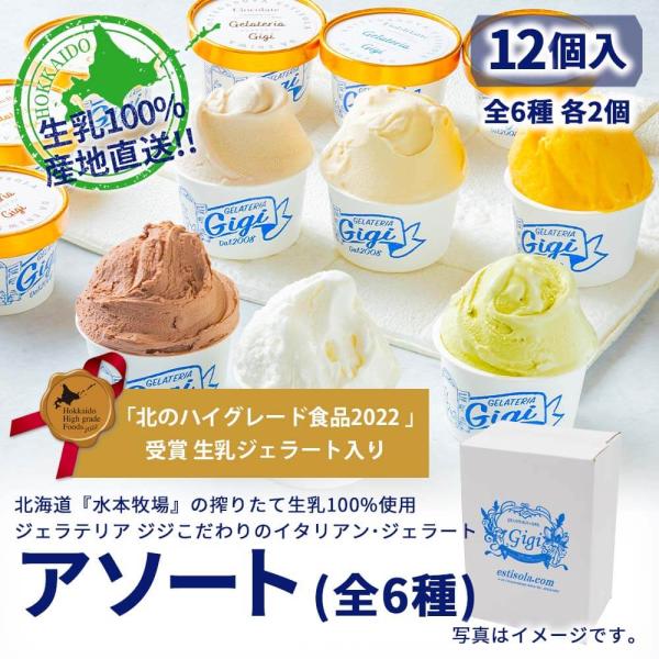 12個セット◆北海道の行列店 ジェラテリアジジ　ジェラート お勧めアソート6種各2個セット Gigi...