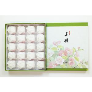 姫路藩御用菓子　『玉椿』　２０個入り　伊勢屋本店