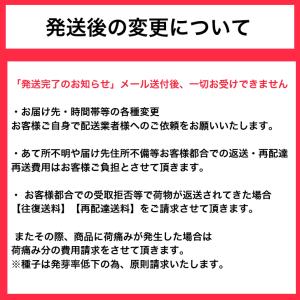 【苗】カラーリーフゼラニウム 谷間の雪 ハッピ...の詳細画像5