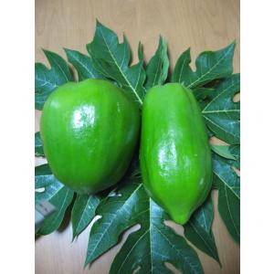 兵庫県産　青パパイヤ　1kg