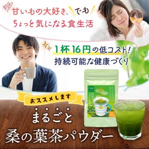 桑の葉茶 青汁 パウダー 100g×3袋 国産...の詳細画像2