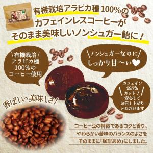 シュガーレス 7種の中からお好みで2種選べます...の詳細画像5