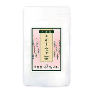 エキナセア茶 ティーパック 1.5g×15袋入り 熊本県産 国産