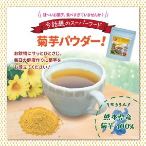 菊芋 粉末 パウダー 50g きくいも イヌリ...の詳細画像1