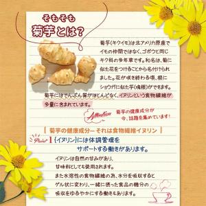 菊芋 粉末 パウダー 50g きくいも イヌリ...の詳細画像2