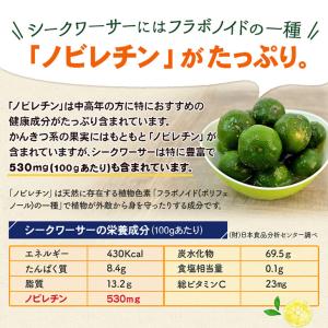 シークワ―サー パウダー 30g×3袋 粉末 ...の詳細画像2