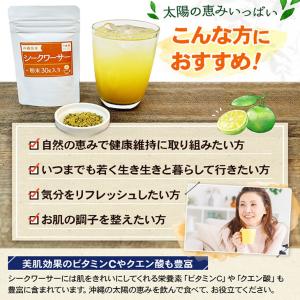 シークワ―サー パウダー 30g×3袋 粉末 ...の詳細画像3