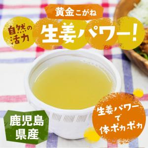 生姜パウダー 鹿児島県産 50g 粉末 保温 ...の詳細画像1