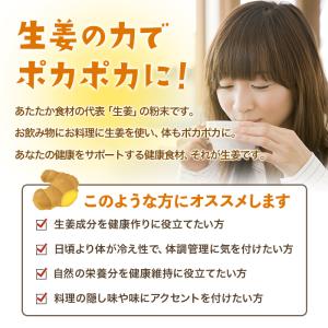 生姜パウダー 鹿児島県産 50g 粉末 保温 ...の詳細画像2