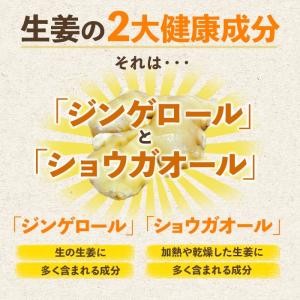 生姜パウダー 鹿児島県産 50g 粉末 保温 ...の詳細画像3