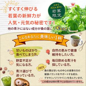 若葉 桑の葉茶 青汁 パウダー 50g 国産 ...の詳細画像3