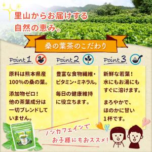 若葉 桑の葉茶 青汁 パウダー 50g 国産 ...の詳細画像4