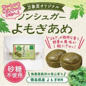 シュガーレス よもぎ 飴 30粒入 カフェイン...の詳細画像2