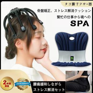 姿勢サポート チェア 骨盤から腰をサポート 姿勢サポートクッション