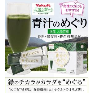 おいしい酵素青汁DX 三大青汁+139種の植物醗酵エキス 3g×24包 飲料