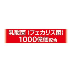 ネコポス発送 いなば 犬用おやつ エネルギーち...の詳細画像1