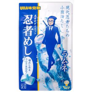 5袋セット 忍者めし 鉄の鎧 ピーチ味 UHA味覚糖 神戸西倉庫 : Tech-In