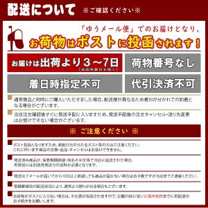 送料無料 淡路島 たまねぎスープ ポイント消化...の詳細画像2