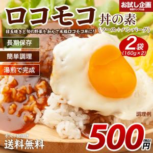 送料無料 ロコモコ丼の素 160g×2袋 非常食 保存食 防災食 長期保存 ポイント消化 食品 お試し ゆうメール お取り寄せ グルメ レトルト 得トクセール