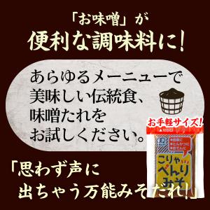 送料無料 こりゃべんりみそ 10g×10個 味...の詳細画像3