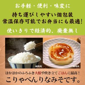 送料無料 こりゃべんりみそ 10g×10個 味...の詳細画像4