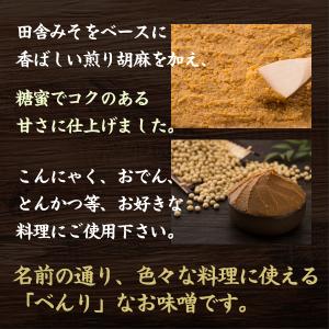 送料無料 こりゃべんりみそ 10g×10個 味...の詳細画像5