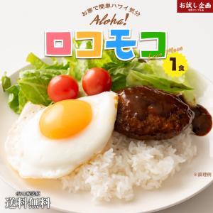 ロコモコ丼の素 160g 非常食 保存食 防災食 長期保存 ポイント消化