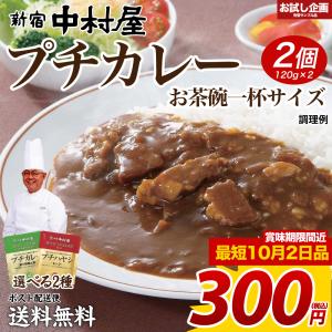 送料無料 選べる 新宿中村屋 プチカレー 120g×2個 得トクセール ポイント消化 食品 お試し ギフト お取り寄せ グルメ 長期保存 カレー