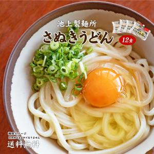 2599円！ 池上製麺所の釜玉うどん12食  （北海道・沖縄・離島+1500円）